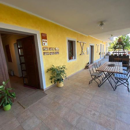 Med Oljkami Apartment Koper városi község Kültér fotó
