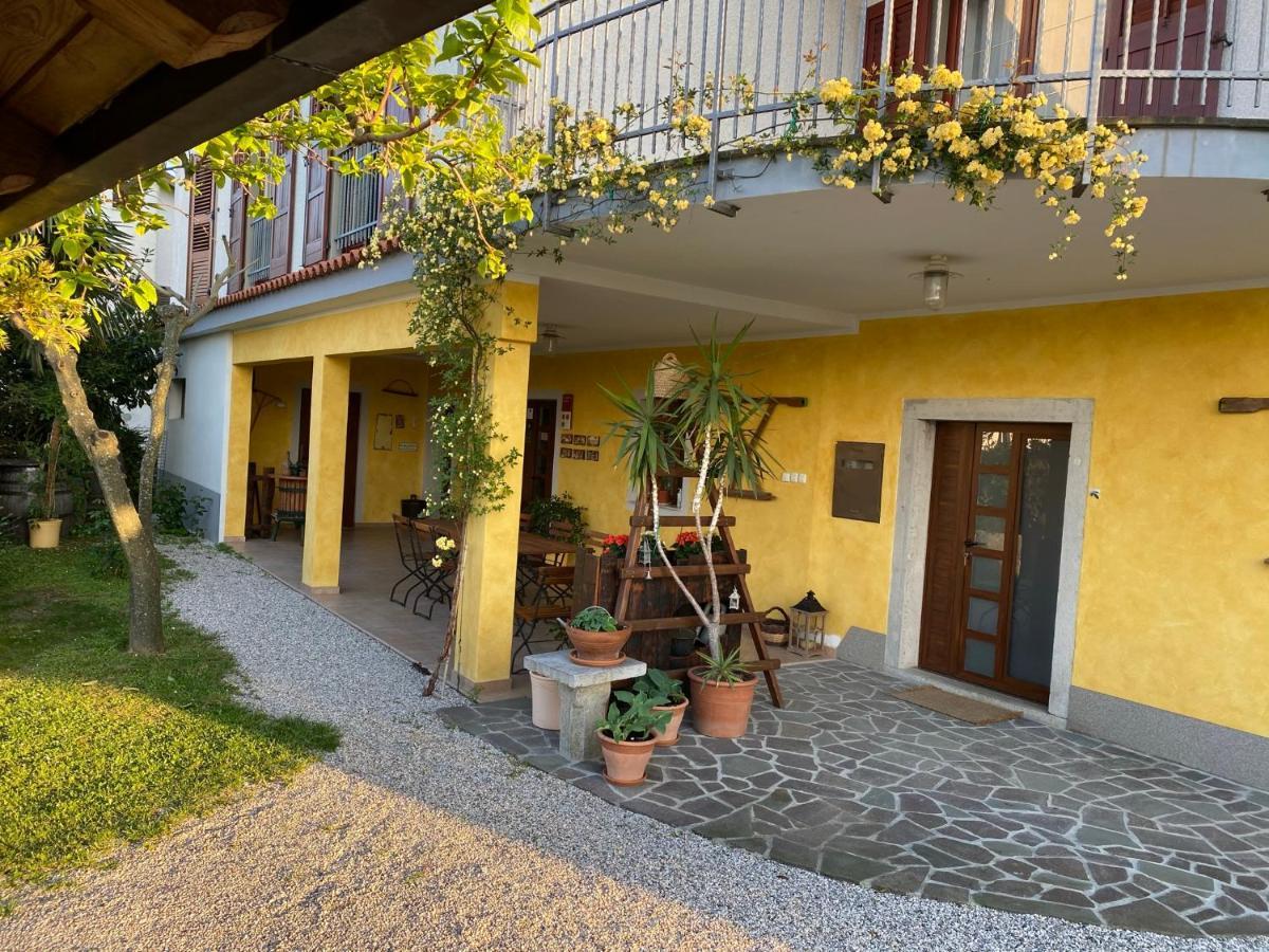 Med Oljkami Apartment Koper városi község Kültér fotó